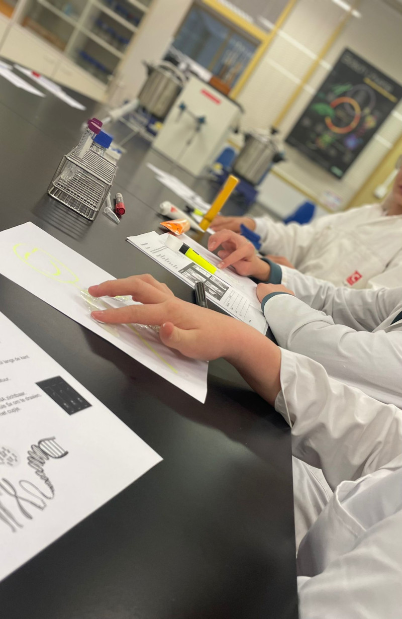 Mavo 2 ontdekt biologie & scheikunde bij Drenthe College!