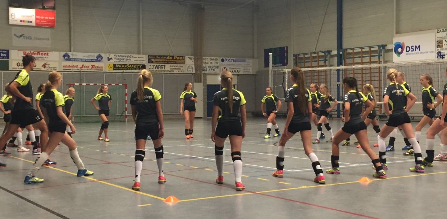 tts volleybal